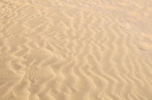 vagues dans le le sable photo