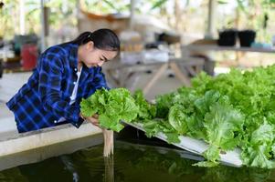 agriculteur femme soins hydroponique légume parcelle, biologique des légumes photo