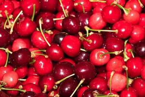 rouge cerises fruit et légume sur vente à marché photo