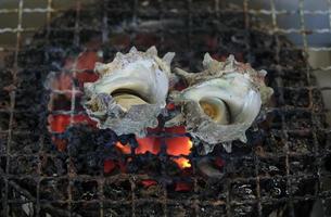 turban shell - ou sazae no tsubaki en japonais - grillé par un vendeur de rue à enoshima, japon photo