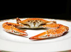 bleu nager Crabe à la vapeur mettre sur blanc céramique assiette isoler sur noir arrière-plan., à la vapeur Crabe est un de le plus populaire touristique attraction lorsque en voyageant à Thaïlande. photo