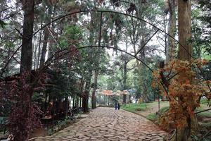 kudus, décembre 2022. le atmosphère de visiteurs est profiter le incandescent parc tour avec relaxant, magnifique et cool vues photo