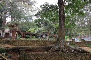 kudus, décembre 2022. le atmosphère de visiteurs est profiter le incandescent parc tour avec relaxant, magnifique et cool vues photo