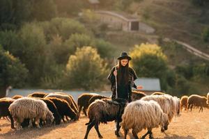 Berger femelle et troupeau de moutons sur une pelouse photo