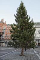 Noël des rues lumières et arbre photo