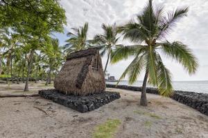 cabane hawaïenne sur la plage photo