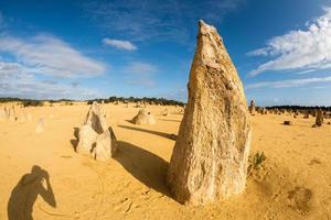 parc des pinacles dans l'ouest de l'australie photo