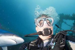 gris requin prêt à attaque une plongeur photo