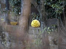 citrouille sculptée naturelle d'halloween photo