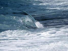 vague de la mer sur le rivage photo