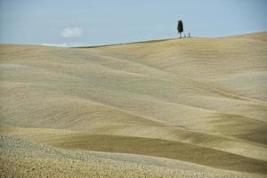 paysage de collines toscanes photo