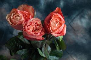 bouquet de des roses pour le vacances. aux femmes jour, la Saint-Valentin jour, Nom journée. sur une foncé Contexte. photo