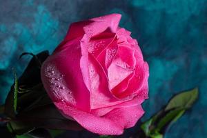 bouquet de des roses pour le vacances. aux femmes jour, la Saint-Valentin jour, Nom journée. sur une foncé Contexte. photo