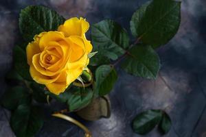 bouquet de des roses pour le vacances. aux femmes jour, la Saint-Valentin jour, Nom journée. sur une foncé Contexte. photo