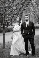 jeunes mariés marcher dans le parc parmi Cerise fleurs photo