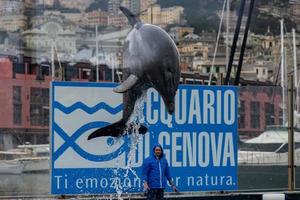 Gênes, Italie - 4 mars 2018 - Dauphins de l'aquarium de Gênes photo