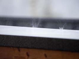 averse de grêle sur balcon dans Montagne grêlons tandis que chute photo