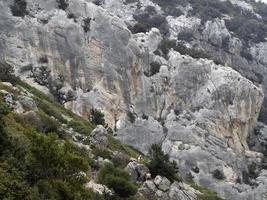 chèvre de montagne sur des rochers en sardaigne photo