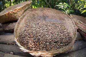 graines de café grillées à la main à bali, indonésie photo