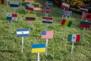 Etats-Unis et uni nations beaucoup drapeaux sur herbe photo