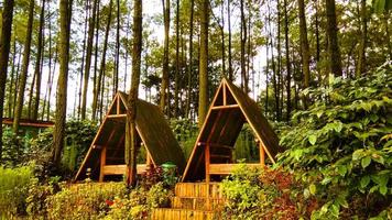 triangulaire en forme de belvédère fabriqué de bois photo