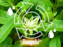 concept de recyclage pour une vert monde photo