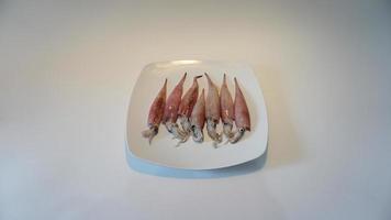 calamar Fruit de mer sur assiette sur blanche. photo