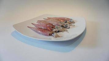 calamar Fruit de mer sur assiette sur blanche. photo