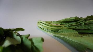 chinois vert moutarde sur blanc Contexte photo