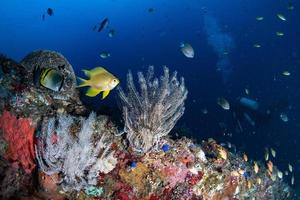 Épave du Liberty Ship dans l'océan Indien à Bali Tulamben photo