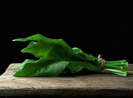 Frais vert feuilles de oseille sont lié dans une bouquet photo