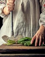 femme dans une gris lin robe est Coupe vert feuilles de Frais oseille photo