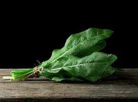 Frais vert feuilles de oseille sont lié dans une bouquet photo