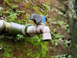 le classique l'eau robinet sur le moussu mur photo