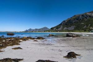 plage de sable blanc de l'île de lofoten photo