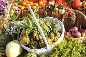 coloré biologique citrouilles et des légumes dans panier sur agricole équitable. récolte l'automne temps concept. jardin tomber Naturel plante. action de grâces décoration. de fête ferme rural Contexte. végétalien aliments. photo