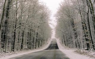 une comté route dans Ontario dans une hiver réglage photo