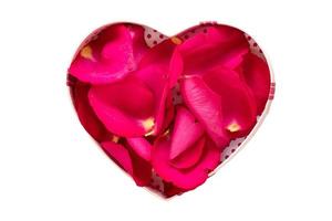 1541 cœur boîte avec rouge pétales de des roses isolé sur une transparent Contexte photo
