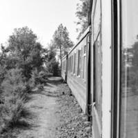 shimla, himachal pradesh, inde - 14 mai 2022 - itinéraire du train jouet kalka-shimla, se déplaçant sur le chemin de fer jusqu'à la colline, train jouet de kalka à shimla en inde parmi la forêt naturelle verte photo