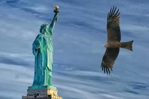 Aigle en volant sur statue de liberté Contexte photo