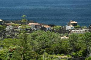 L'île de pico açores vignoble raisins protégés par la pierre de lave vue aérienne photo