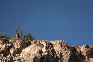 baja california sur cortez mer rochers photo