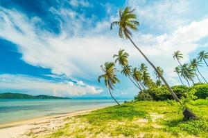 belle plage tropicale photo