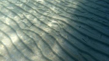 fond de sable nageant sous l'eau dans un lagon turquoise photo