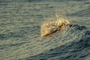 fond de velours de vague de mer océan au coucher du soleil photo