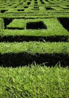 Labyrinthe dans la nature photo