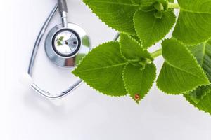 stéthoscope et feuilles vertes avec une coccinelle photo