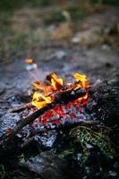 feu dans hiver , brûlant Feu contre le du froid Matin vent. photo