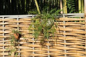 clôture en bambou avec paniers de fleurs suspendus