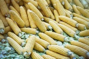 gros plan de maïs frais sur le marché photo